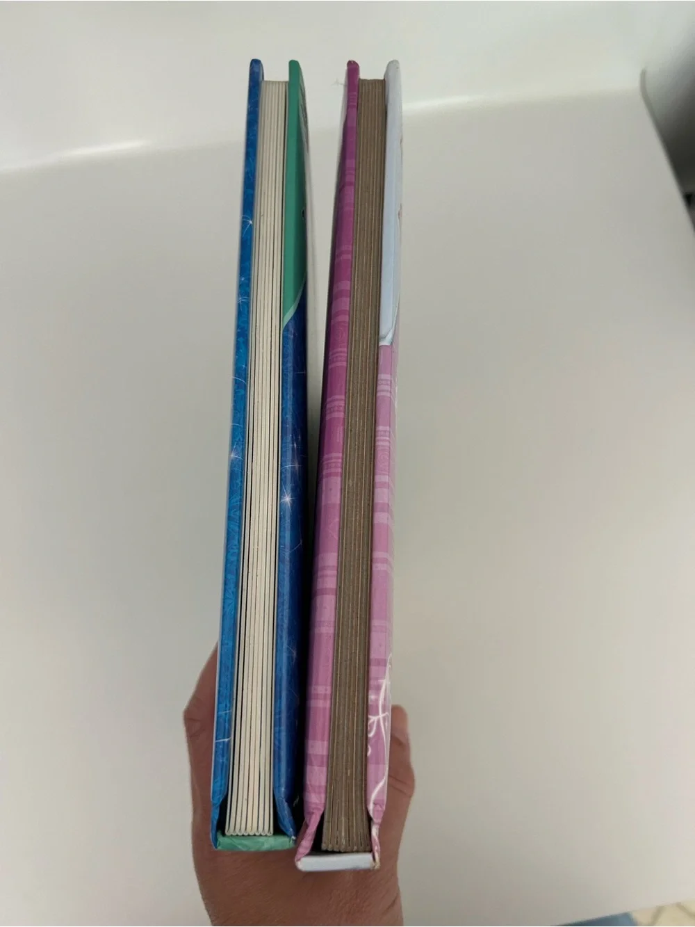 Disney Princess Magic & Frozen Look and Find Books